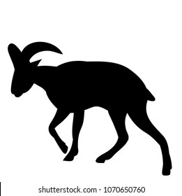 silhouette of a mountain goat