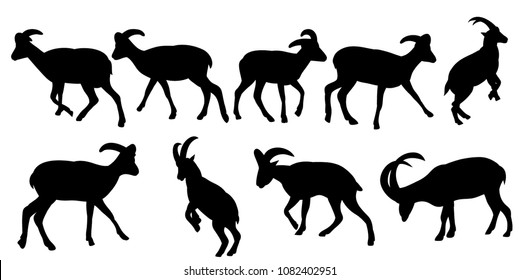 silhouette of a mountain goat on a white background, set
