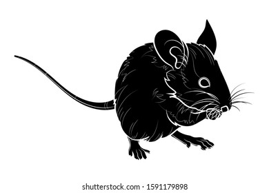 Silhouette of A mouse. Graphic drawing. Vector illustration.