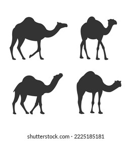 Silhouette movement camel on white background, set of camel movement 
silhouette