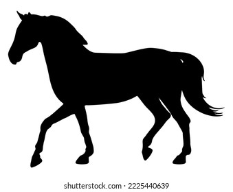 Silhouette of moving horse on white background. Vector illustration
