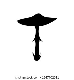silhouette of mushroom toadstool, drawing on a white background, vector illustration