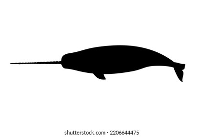 Silhouette narwhal. Vector illustration of a black silhouette narwhal isolated on white. Logo icon, side view.