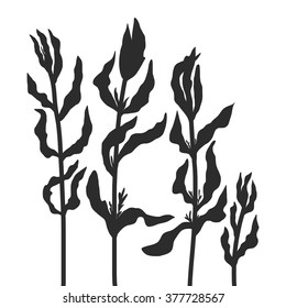silhouette natural composition with wild plants, drawing floral card, hand drawn vector illustration