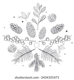 Silhouette Natural Elements sketch vector background