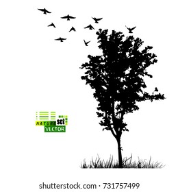 Silhouette of nature landscape. Vector