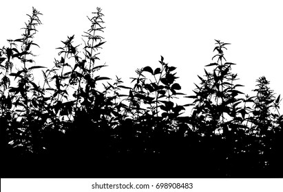 Silhouette nettle. Vector EPS 10