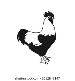 silhouette New Hampshire Breed of chickens Vector illustration 