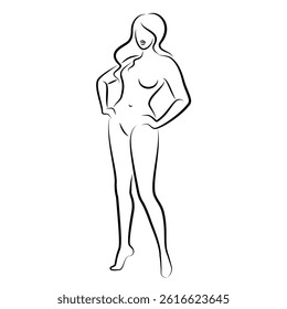 Silhouette of a nice lady, she is standing. The girl has a beautiful naked figure. The woman is a young sexy and slender model. Vector illustration