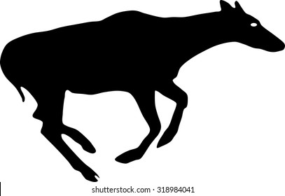 Silhouette Of Nilgai