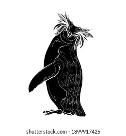 Silhouette of the northern rockhopper penguin. Black and white illustration. Vector.