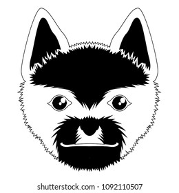 Silhouette of a norwich terrier avatar