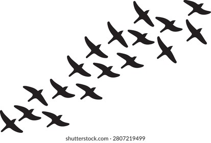 Silhouette of numerous birds soaring gracefully in a distinct diagonal pattern, symbolizing unity, movement, journey, and the boundless beauty of nature.