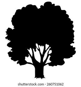 silhouette of oak
