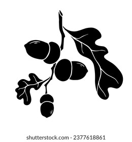 Silhouette of an oak branch with acorns and leaves. Vector graphics.