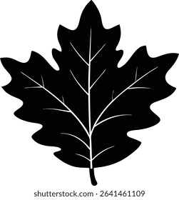 Silhouette Of An Oak Leaf With Jagged Edges - Premium Design Element