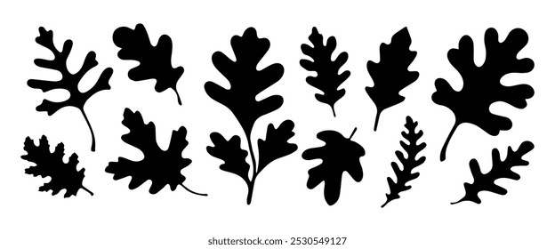
Silhouette of oak leaves. Leaves isolated on white background.