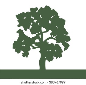 Silhouette of an oak tree