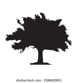 Silhouette of oak tree isolated on white background