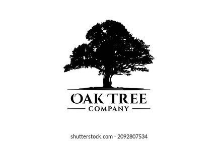 Silhouette oak tree logo illustration, tree of life design template inspiration