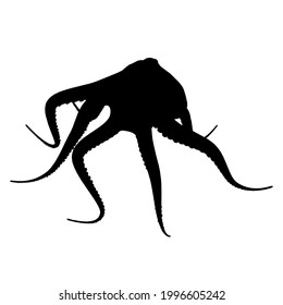Silhouette of an octopus Isolated on a white background. Vector illustration