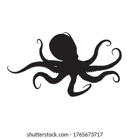 silhouette of octopus, vector white background 