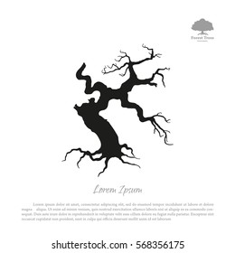 Silhouette of the old broken tree on a white background. Black dead plant. Vector illustration