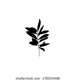 Silhouette Olive Branch with leaves. Outline Botanical leaves In a Modern Minimalist Style. Vector Illustration. For printing on t-shirt, Web Design, beauty Salons, Posters, creating a logo and other