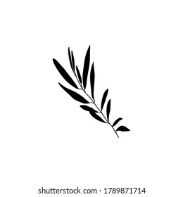 Silhouette Olive Branch with leaves. Outline Botanical leaves In a Modern Minimalist Style. Vector Illustration. For printing on t-shirt, Web Design, beauty Salons, Posters, creating a logo and other