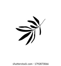 Silhouette Olive Branch with leaves. Outline Botanical leaves In a Modern Minimalist Style. Vector Illustration For printing on t-shirt, Web Design, beauty Salons, Posters, creating a logo