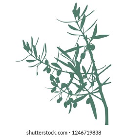 Silhouette of olive branches with leaves and berries. Vector illustration. Close-up. Isolated background. Olives on the branch. The color is gray. Harvest olives. Hanukkah. A branch of olive tree. Ele