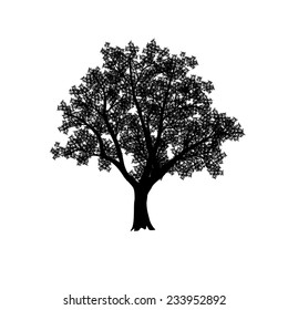 silhouette of the olive tree with leaves on a white background