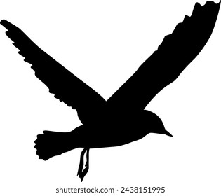 Silhouette on a white background of a sea gull.