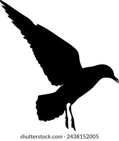 Silhouette on a white background of a sea gull.