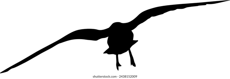 Silhouette on a white background of a sea gull.