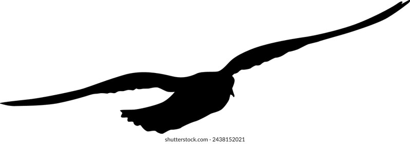 Silhouette on a white background of a sea gull.