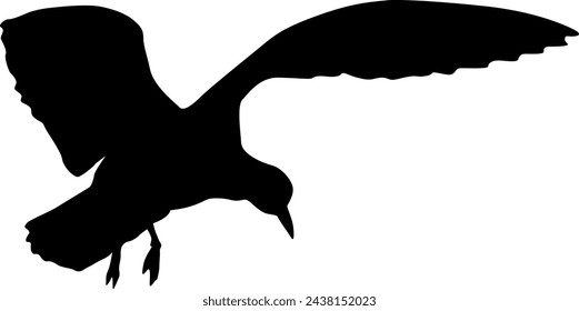 Silhouette on a white background of a sea gull.