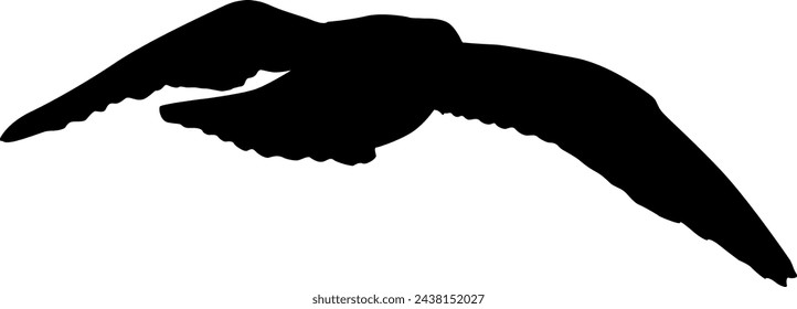 Silhouette on a white background of a sea gull.