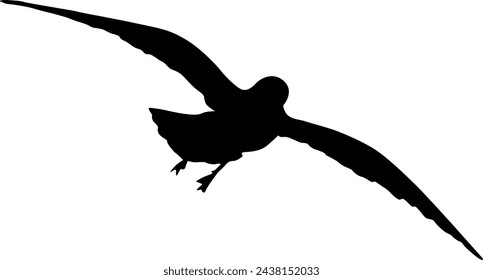 Silhouette on a white background of a sea gull.