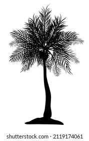 silhouette of one black coconut tree on white background