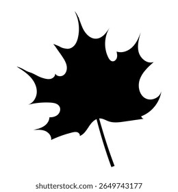 Silhouette of one leaf on a white background. Black maple. Vector.
