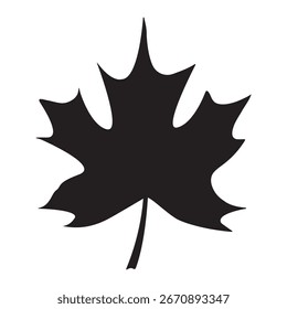 Silhouette of one leaf on a white background. Black maple. Vector illustration.