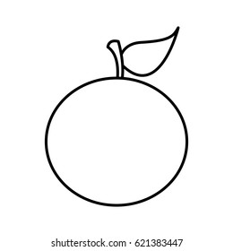silhouette of orange fruit food icon vector illustration