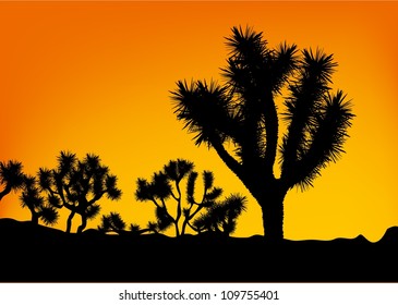 silhouette orange tree