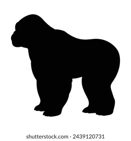 silhouette of a Orangutan on white