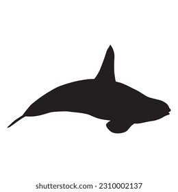 silhouette orca killer whales vector illustration