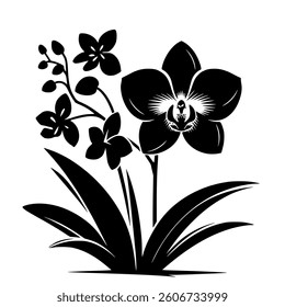 Silhouette of orchid flowers and leaves.Vector illustration isolated on white background.