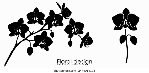 Silhouette of orchids in black and white. Elegant vector symbol for logo or floral design element.