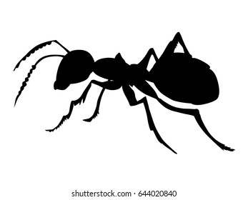 silhouette of ordinary ant