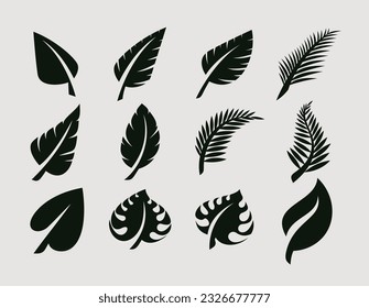 Silhouette of organic leaf design template. Natural eco leaf and palm icon set.